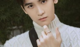 爆料黄俊捷视频声音,揭秘背后惊人真相