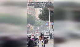 机车最新爆料视频大全,一睹未来速度与激情